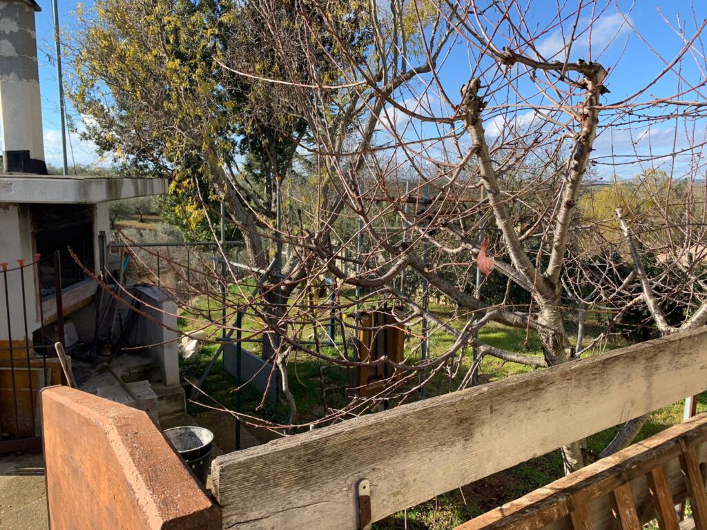 WhatsApp Image 2021 12 28 at 11.39.40