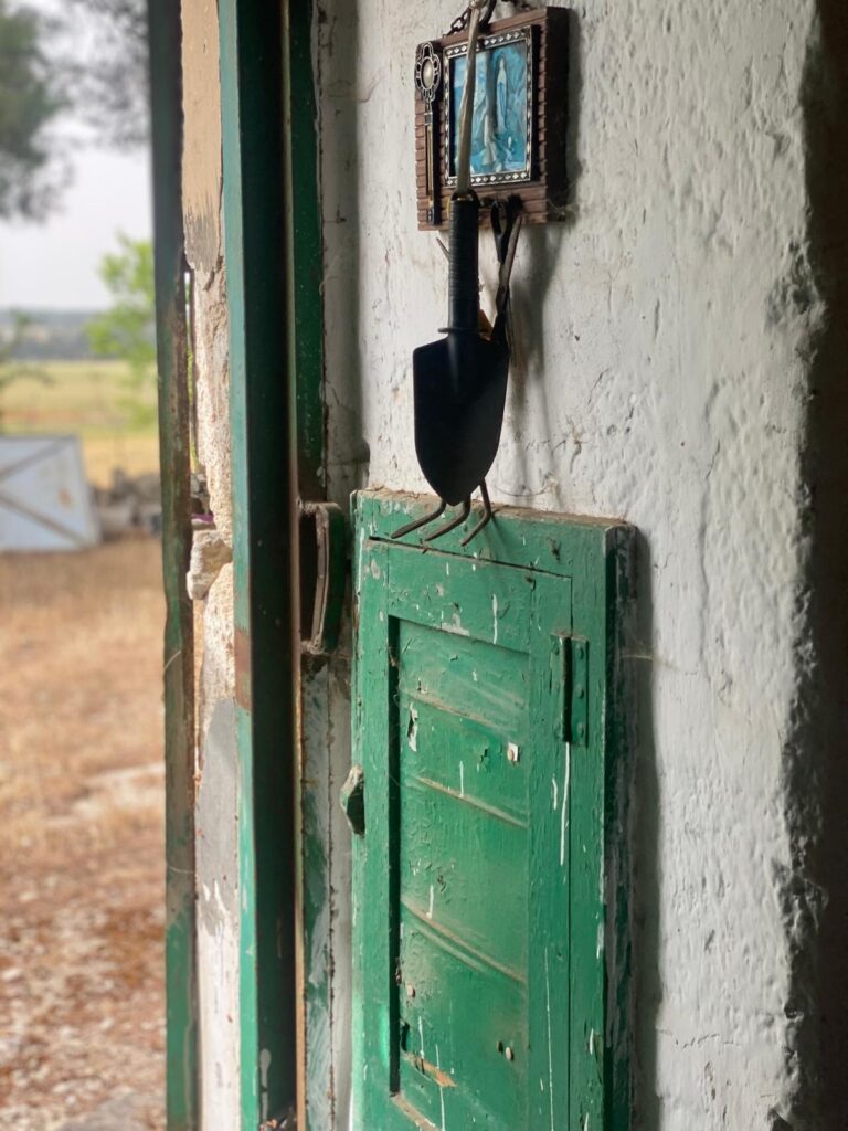 54cfd3d7 804d 4ebc bb47 239935814d18