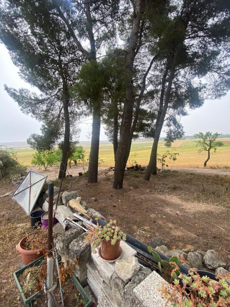 7932a714 e303 4468 ae0d 61e3f7b5aa25