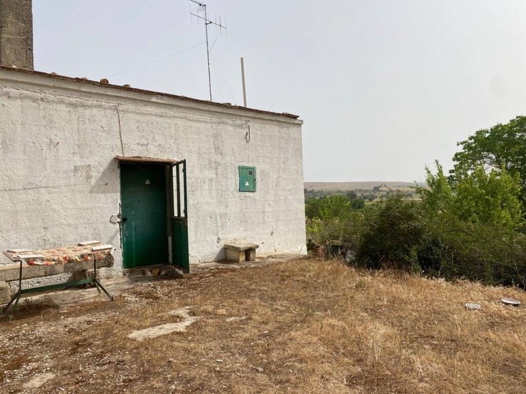 ffd1ed08 a846 49ed bbf0 022602f930be