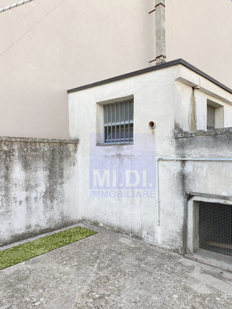 WhatsApp Image 2024 11 11 at 12.51.04.jpeg