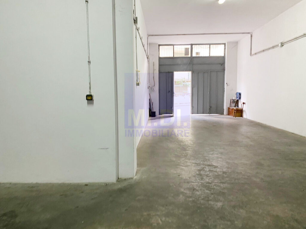 WhatsApp Image 2024 11 11 at 12.51.07 1.jpeg