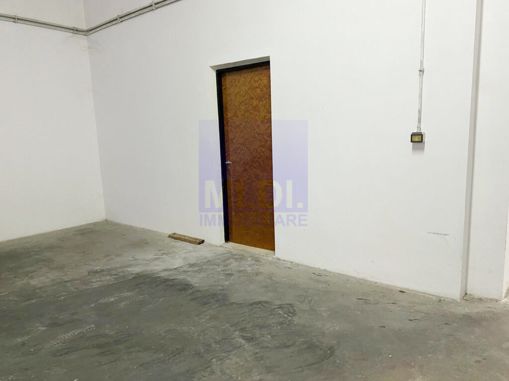 WhatsApp Image 2024 11 11 at 12.51.07.jpeg