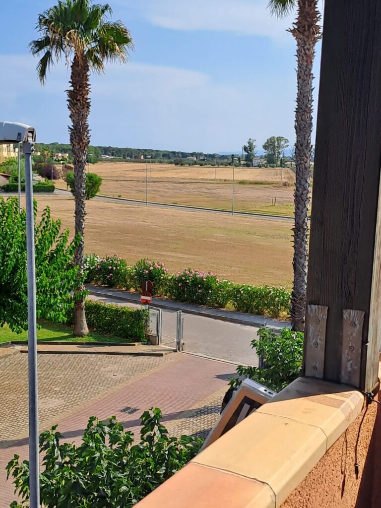 PHOTO 2025 01 10 17 37 08 3