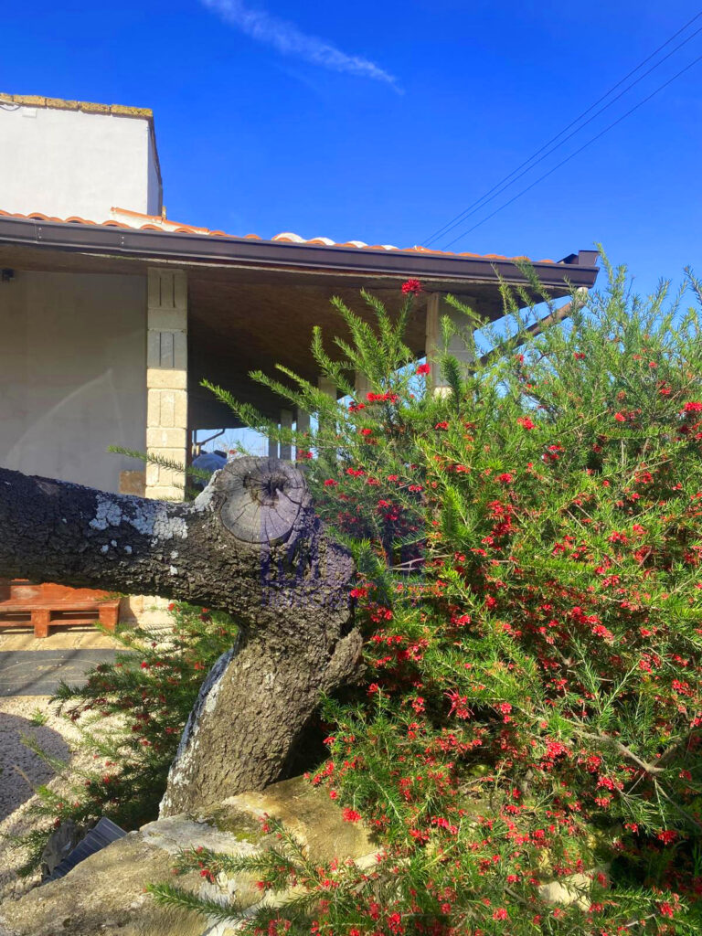 d0c3514e ebdc 46ba 83f5 03f7ddf0e826