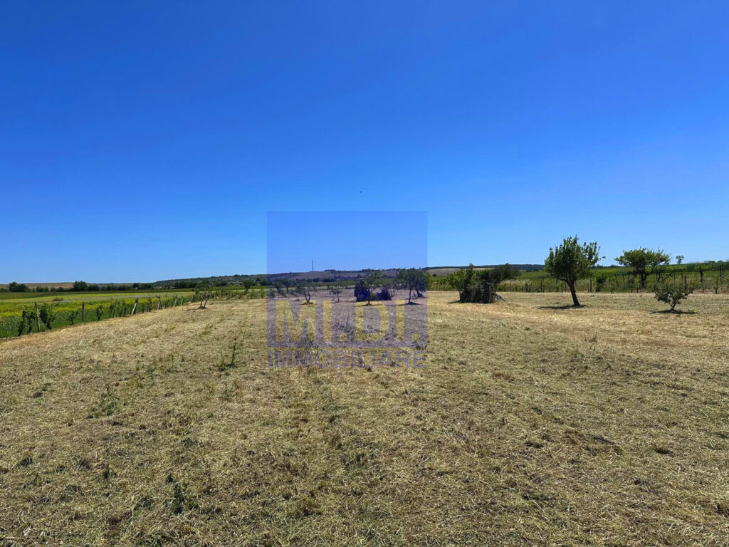 00dfa4df 49e2 4291 86cb f55e233812f8