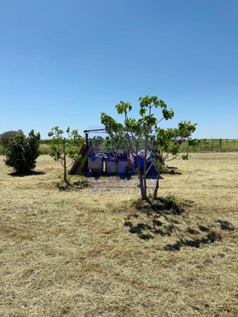 3dc3ccc9 1d9c 48ac a83a dcee0c6d2d71