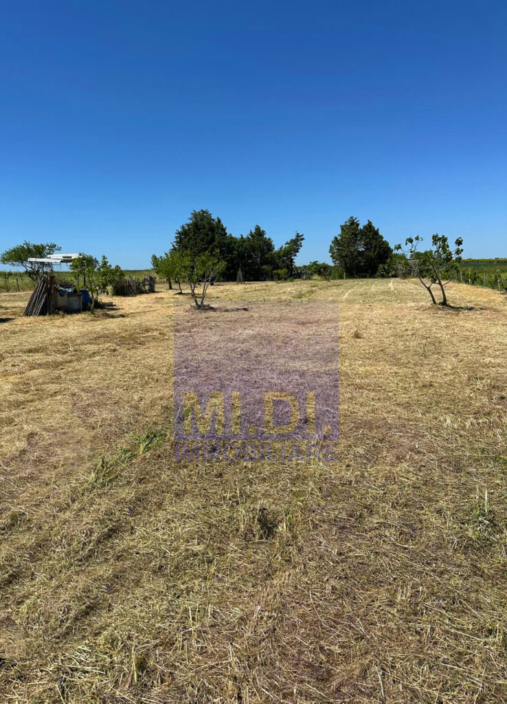 5f6ce9ad 3df9 4bef a8ac a7a6d1917316