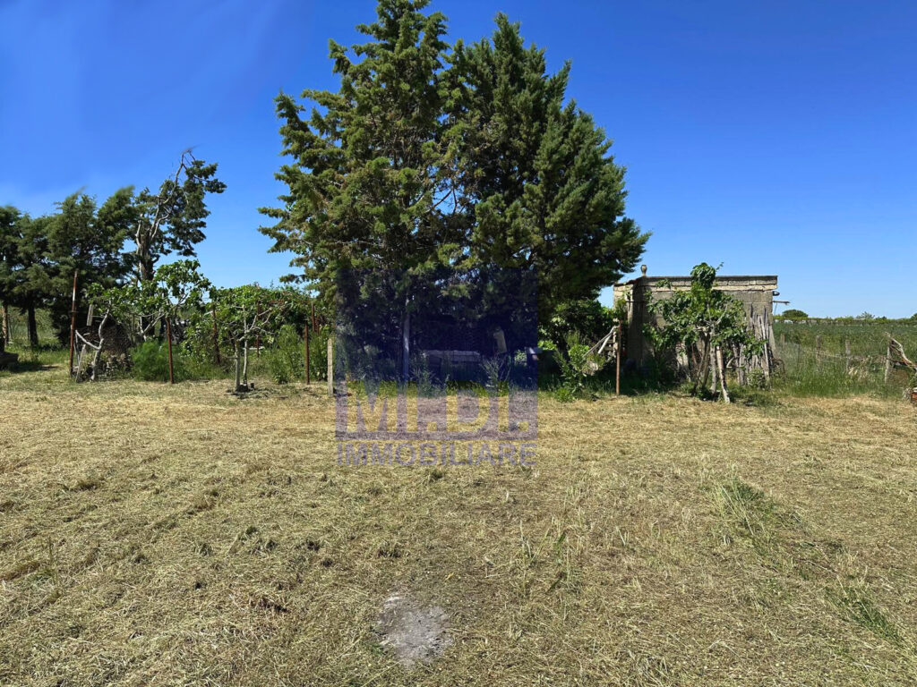 73f6f517 a84c 4513 8ed3 28d42b2f4c8f