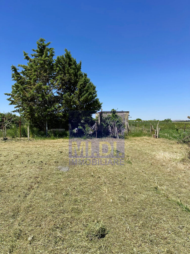 88b92e68 5504 4413 9abe f0ecf006dd68