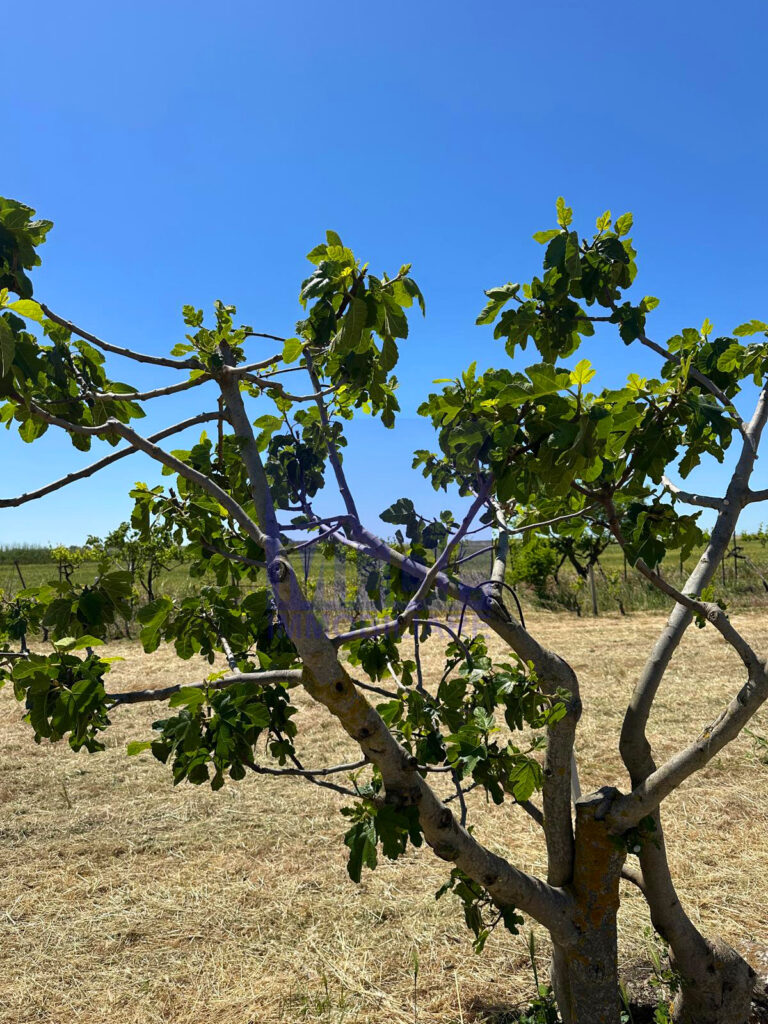 89dbffef 62aa 4f92 92ff 0f56348b7f47