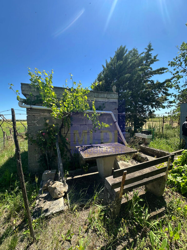 9e67f402 94c3 446b b3dc be868249f277