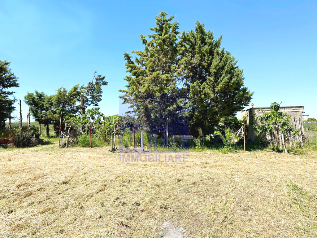 bc3dd91d 60a3 46b6 af11 b92937743d58