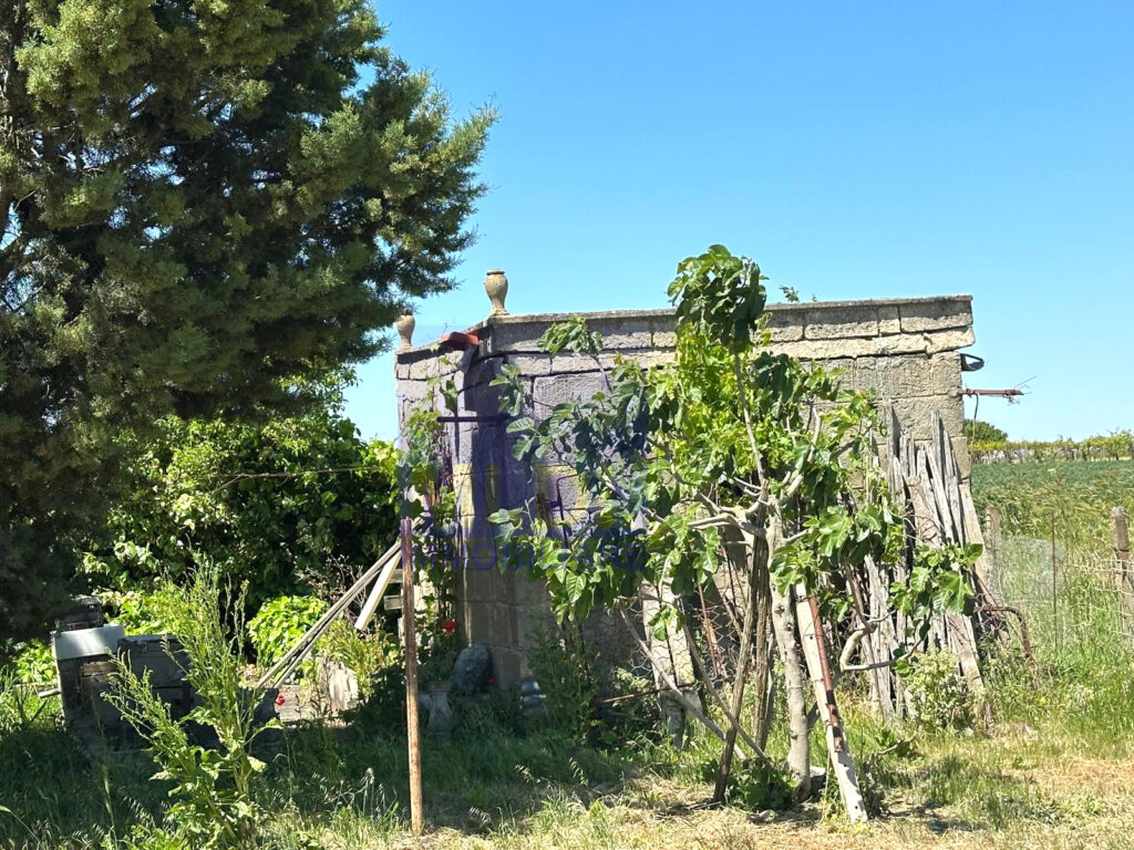 e20b0d72 5d30 4b5a b2b9 e7d8a0777a1d