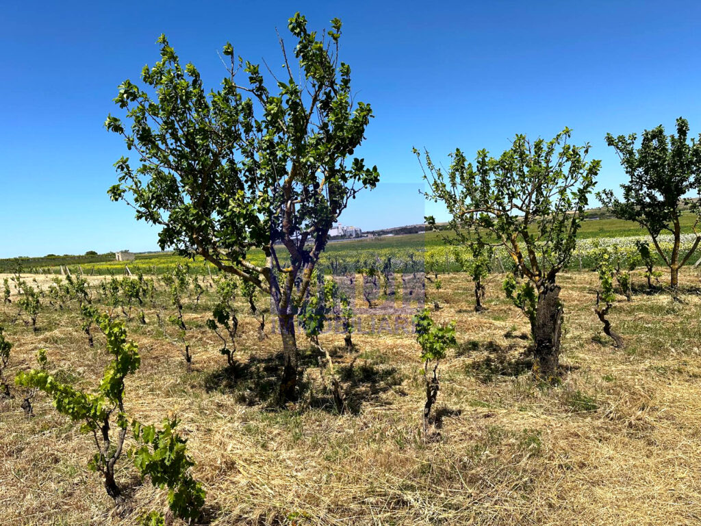 e9f42876 5340 44b9 87fa badc567b4c2b