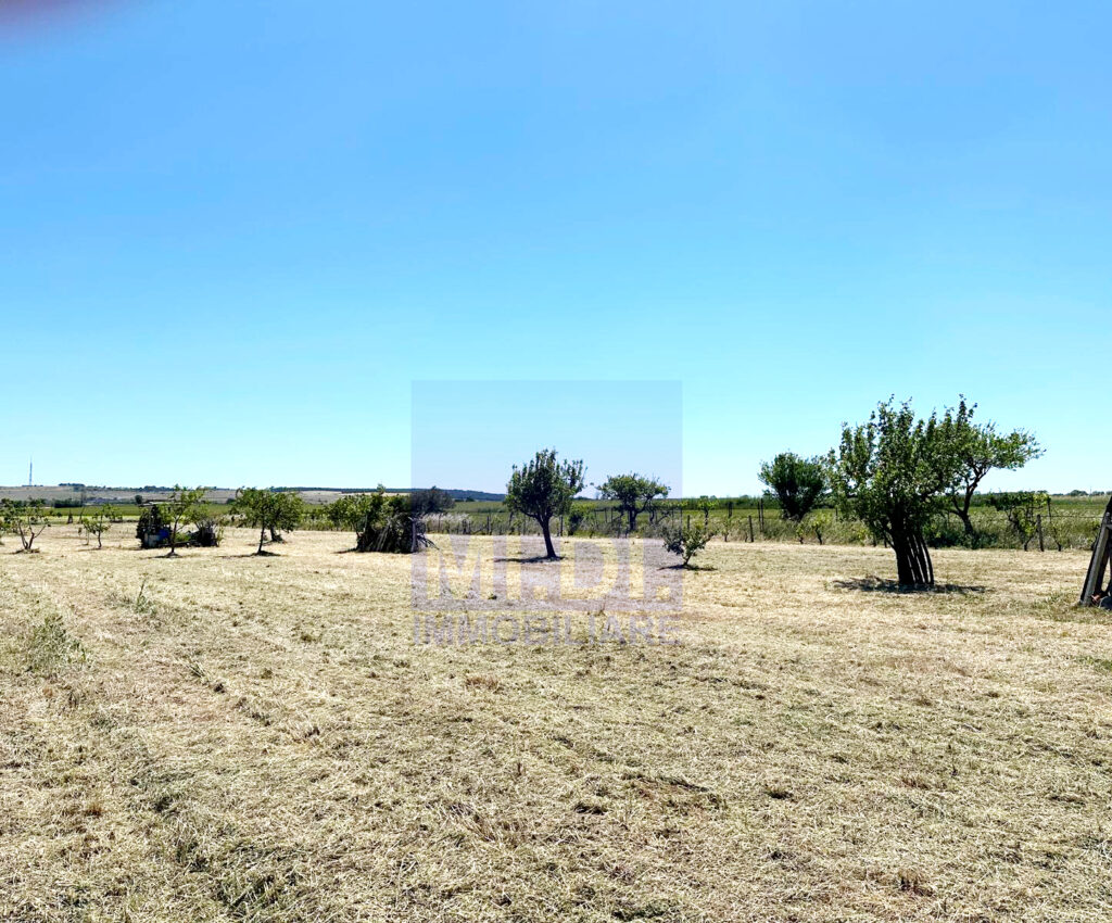 ee4b3782 d099 42a0 bfd1 5e04cf4360e6