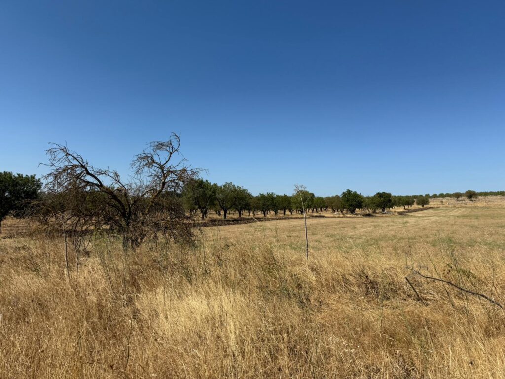 18387319 a1ef 442f a919 e6dbf7343b62