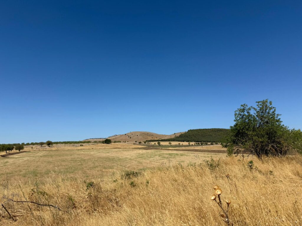 3ebe35d7 3a5a 497b b349 fd5dc18237bf