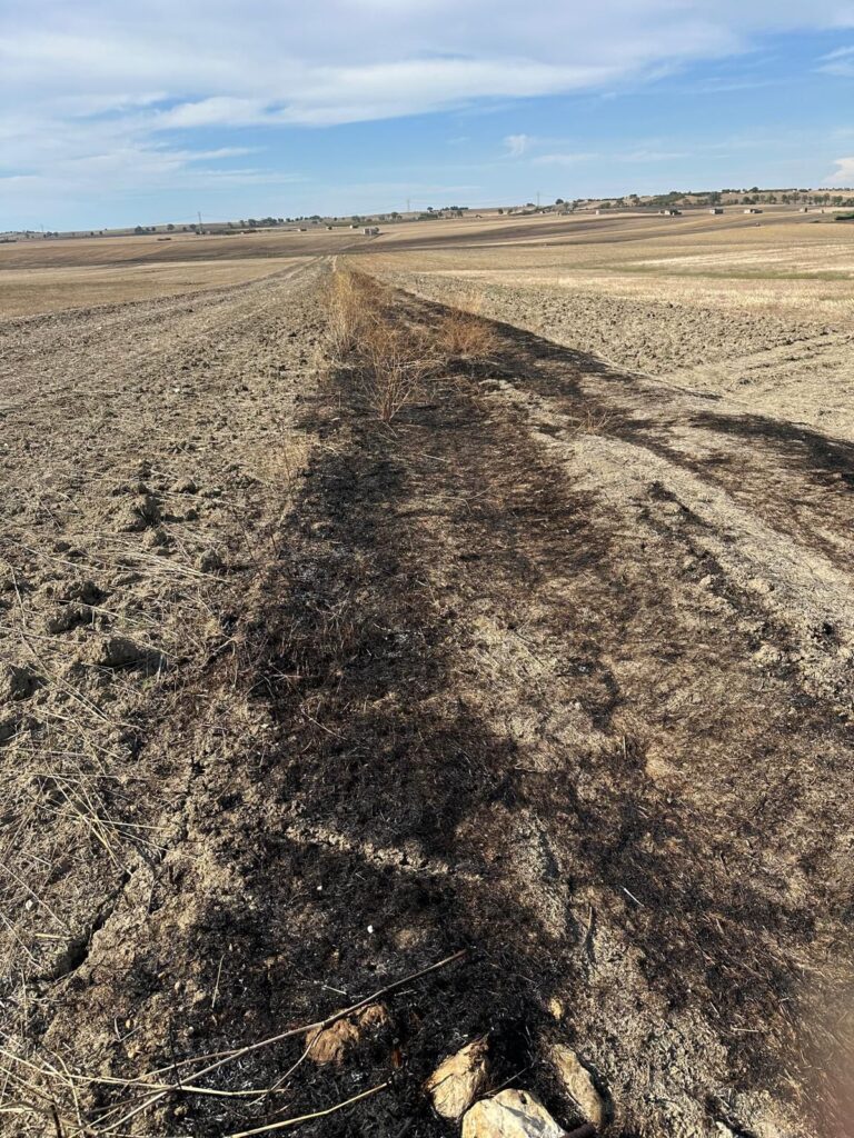 40b20cde 5949 4e8e 94d7 cb977b7d49f7