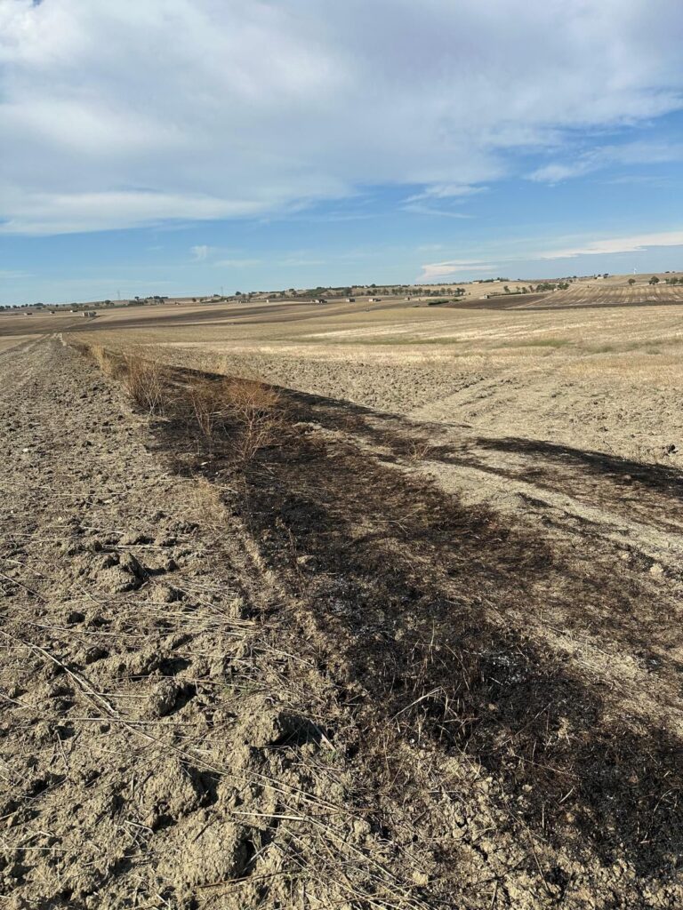 5662d8f7 d4fb 4d23 adce cabd1ec452ec