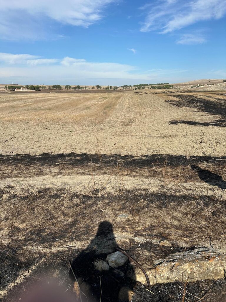 5e1fbf9b 8f4f 40c5 a2f3 6d7ee31da7da