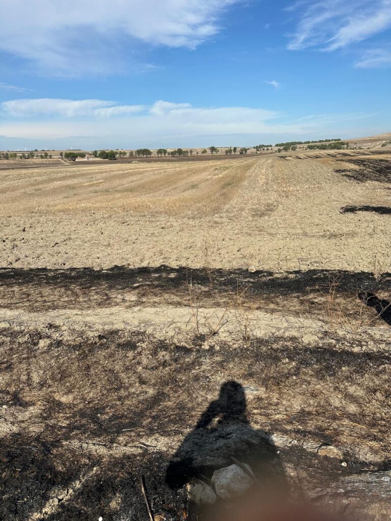 6e92979d 08a5 495c 8ee2 689ab10d5b14