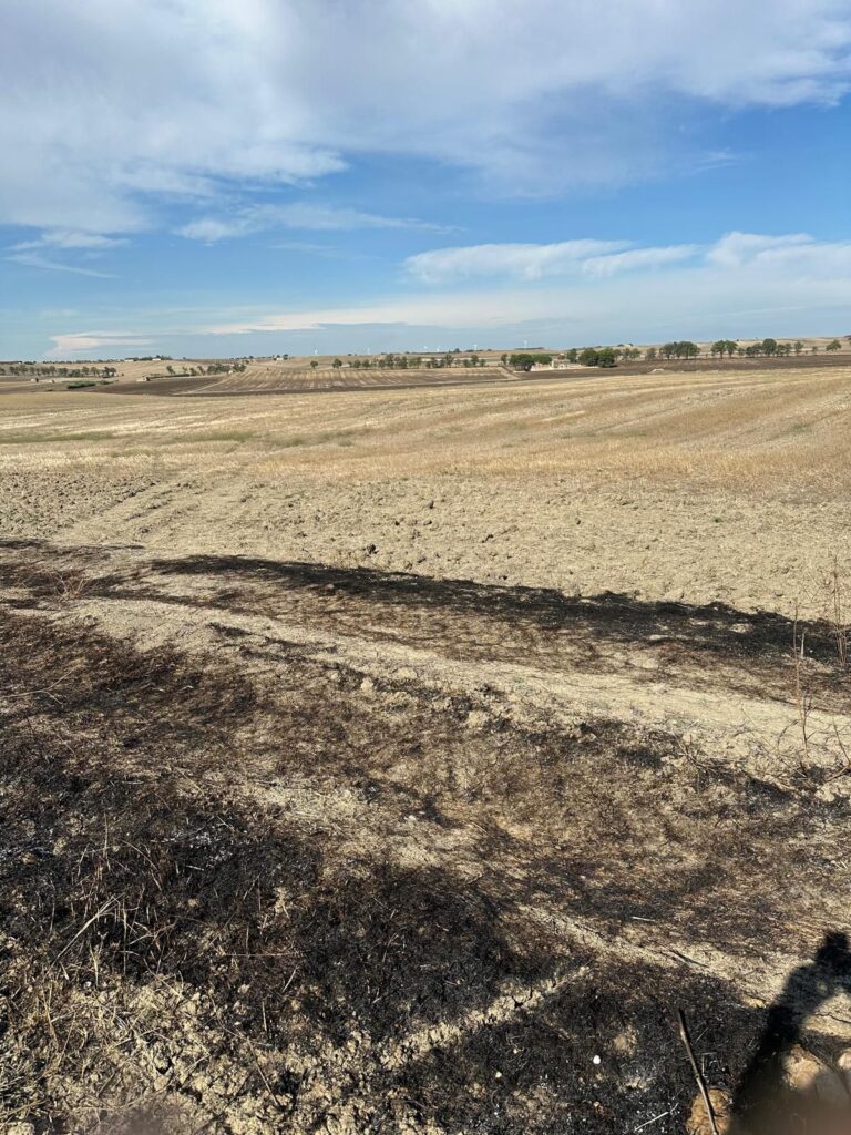 a09e72e8 6d1d 4547 ab46 01d19a359b2a