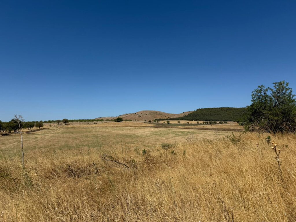 bc8ecc29 8068 4329 b879 f691d4357de1