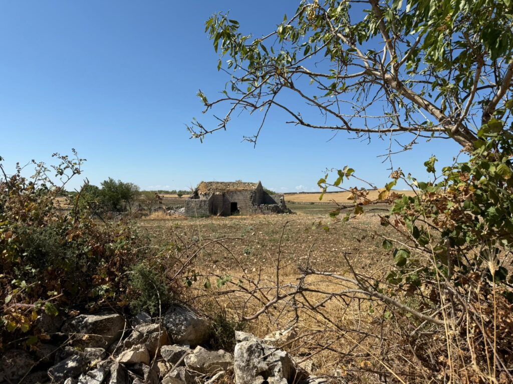 ea042b00 cac9 4500 8085 0caa4e9811ed