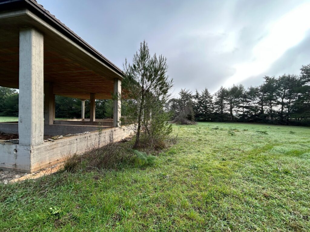 WhatsApp Image 2025 12 19 at 10.43.29