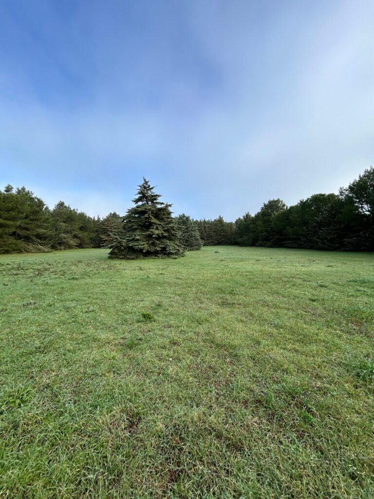 WhatsApp Image 2025 12 19 at 10.43.31 1