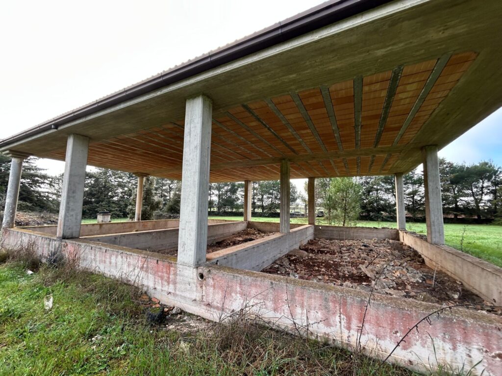 WhatsApp Image 2025 12 19 at 10.43.31