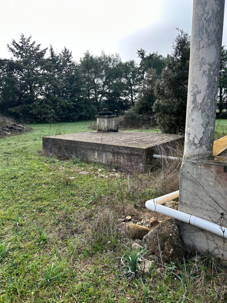 WhatsApp Image 2025 12 19 at 10.43.32