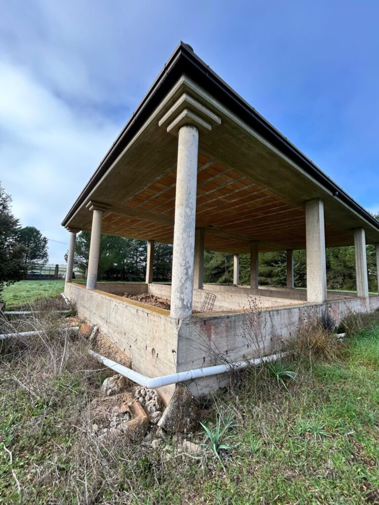 WhatsApp Image 2025 12 19 at 10.43.33