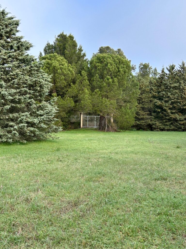 WhatsApp Image 2025 12 19 at 10.49.48