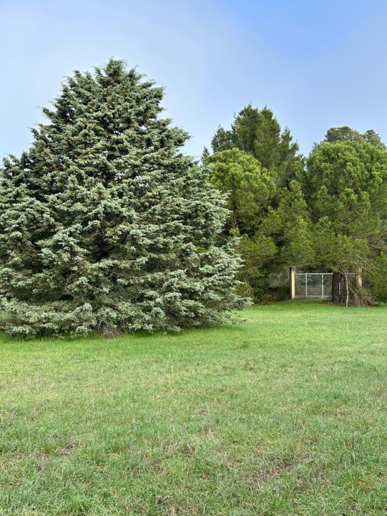 WhatsApp Image 2025 12 19 at 10.49.49