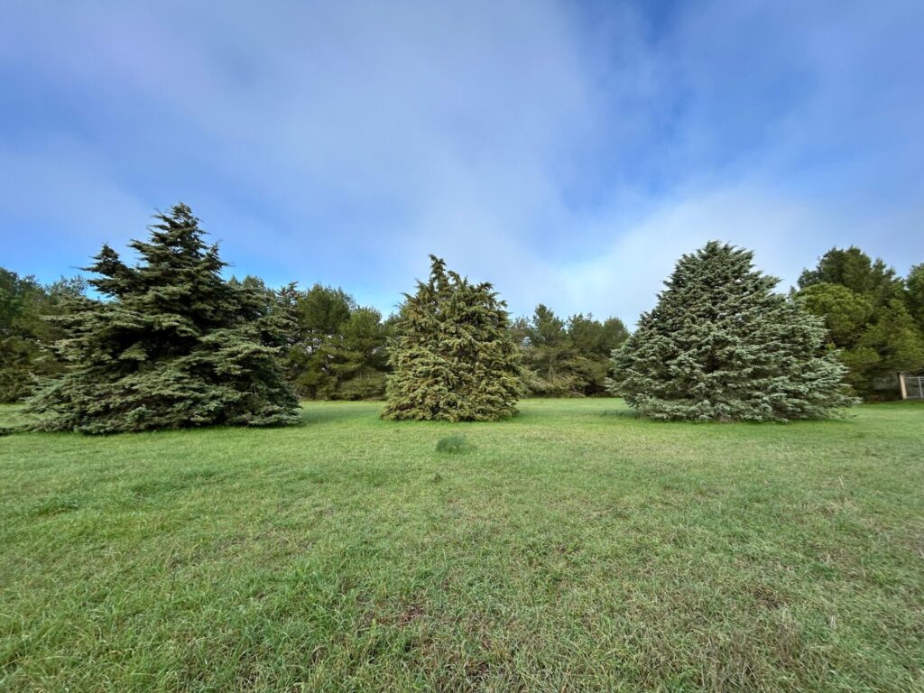 WhatsApp Image 2025 12 19 at 10.49.52