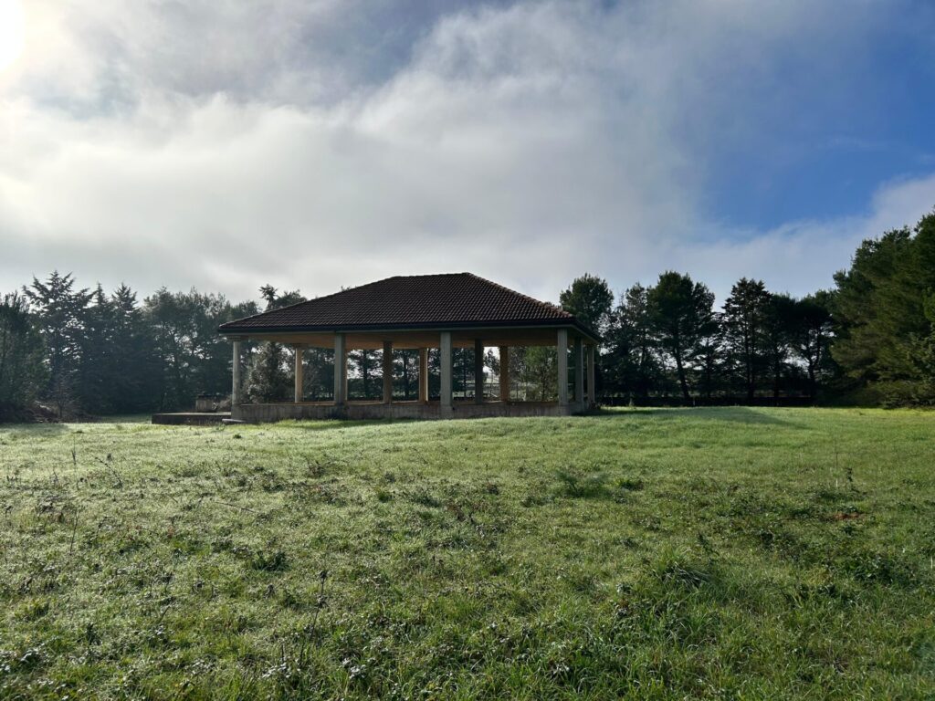 WhatsApp Image 2025 12 19 at 10.50.51