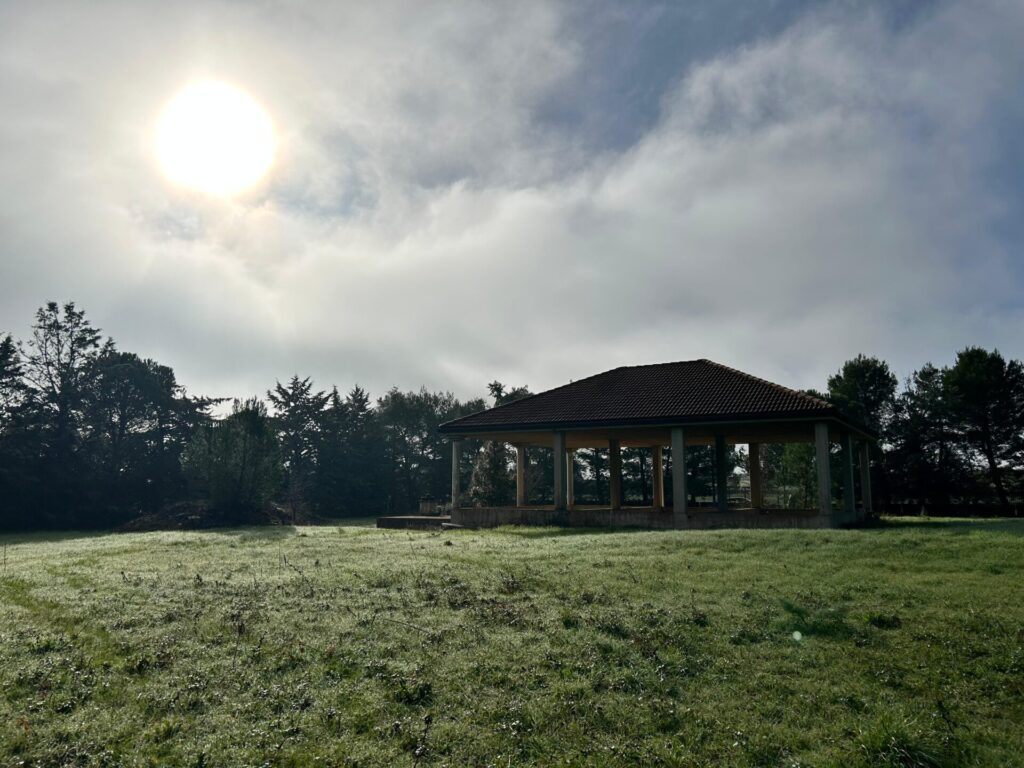 WhatsApp Image 2025 12 19 at 10.50.52