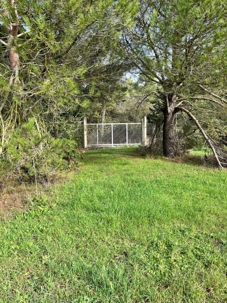 WhatsApp Image 2025 12 19 at 10.50.54