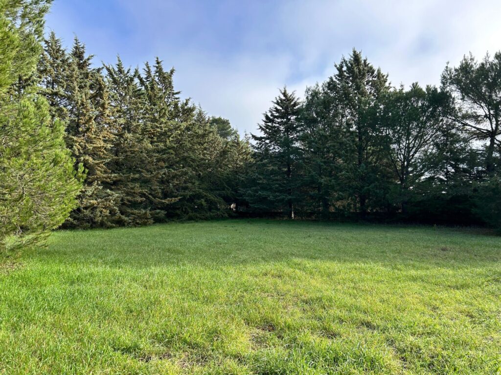 WhatsApp Image 2025 12 19 at 10.50.56