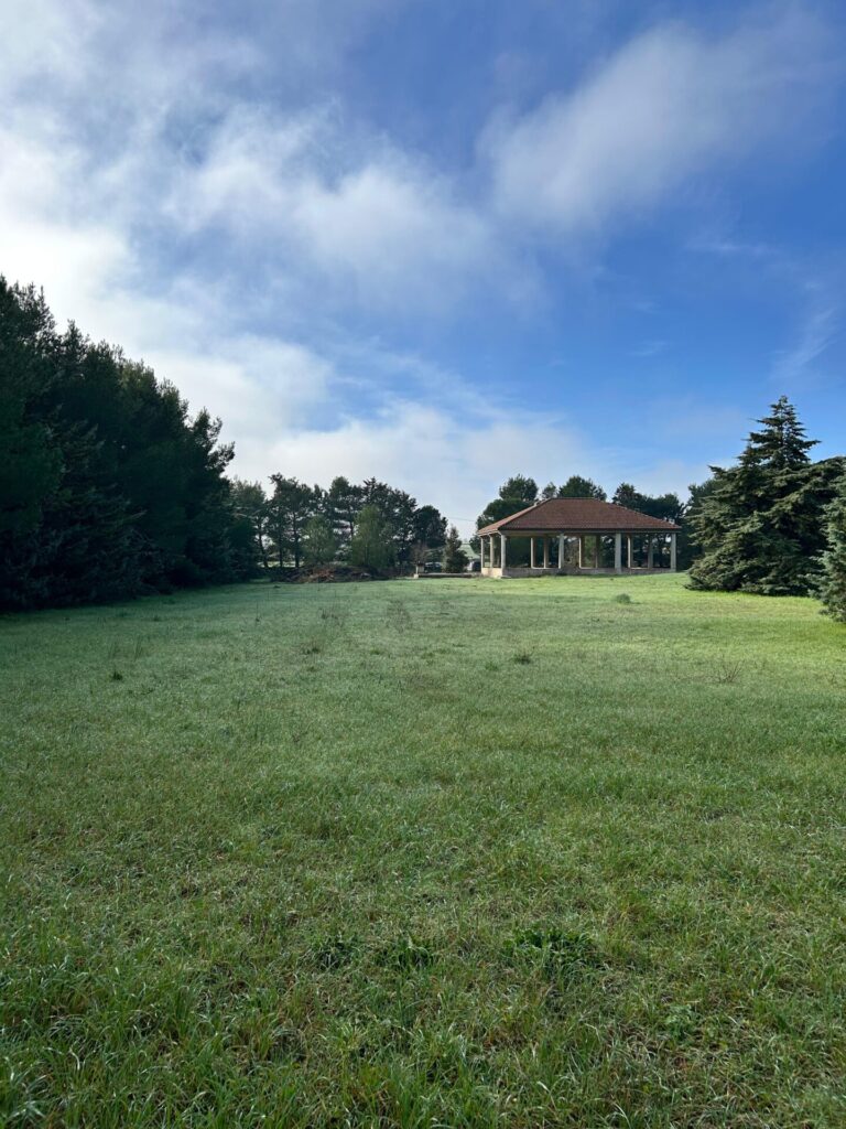 WhatsApp Image 2025 12 19 at 10.50.57