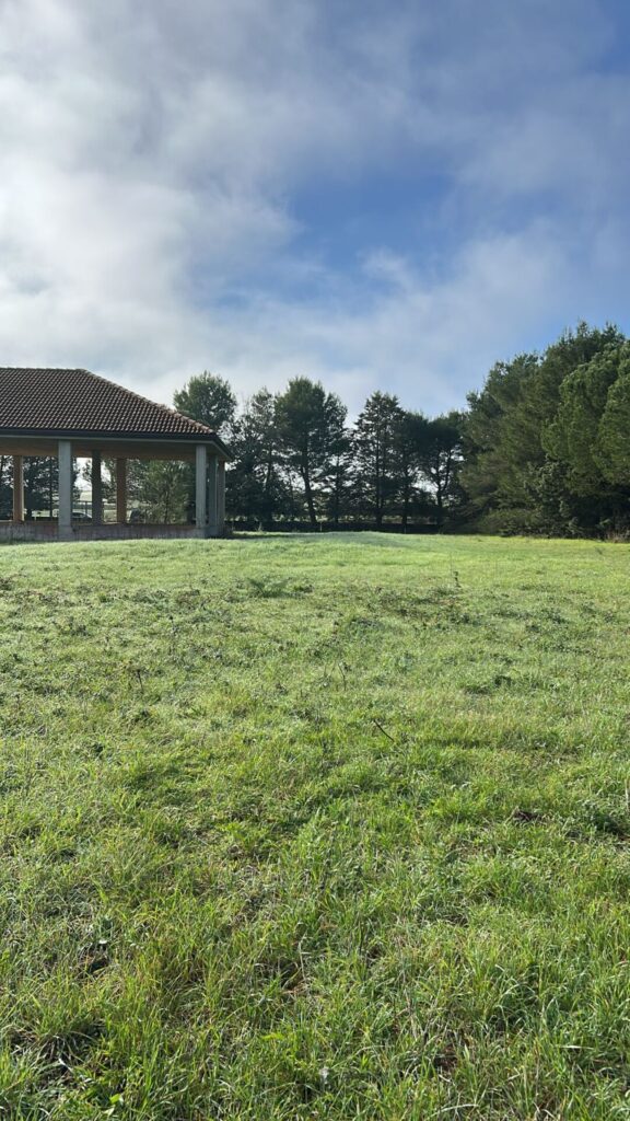 WhatsApp Image 2025 12 19 at 10.53.33