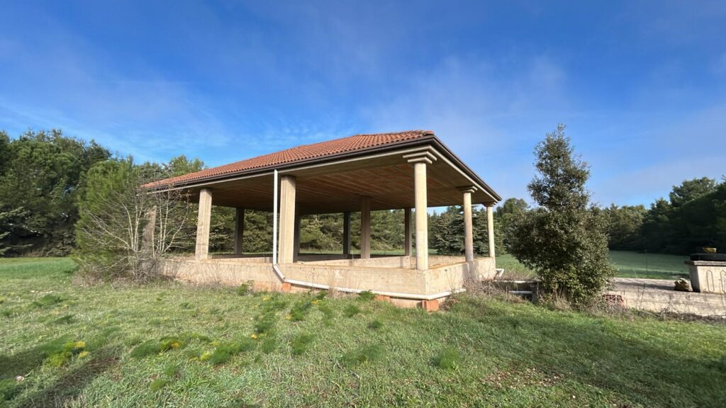 WhatsApp Image 2025 12 19 at 10.53.34 1