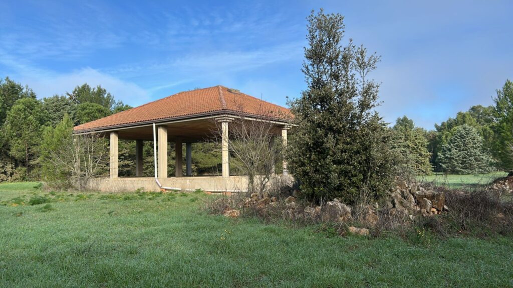 WhatsApp Image 2025 12 19 at 10.53.34