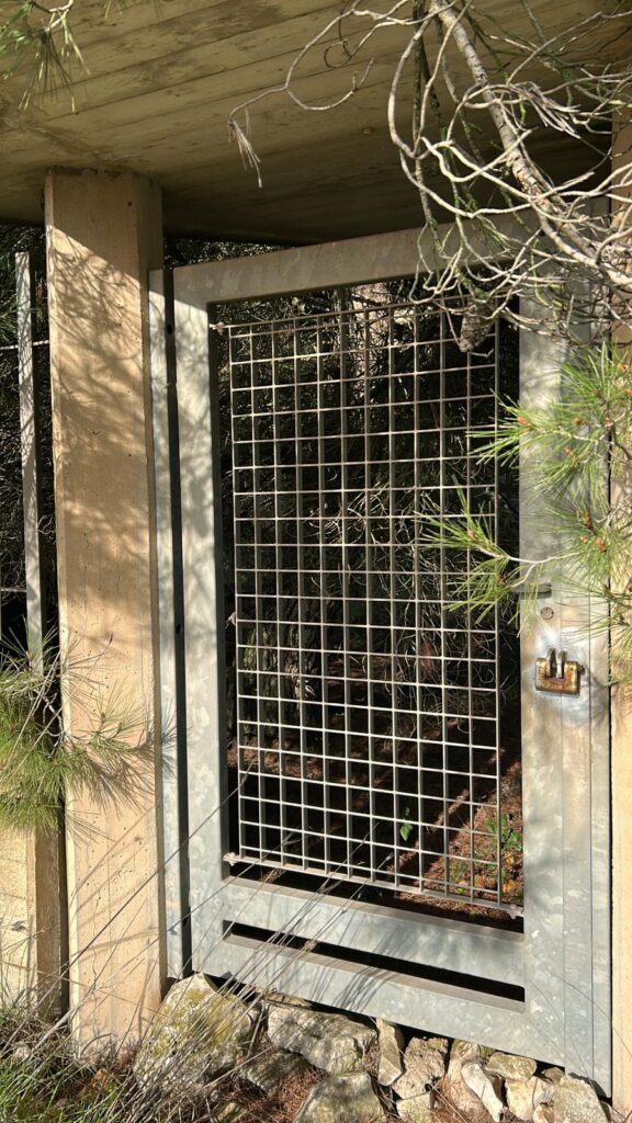 WhatsApp Image 2025 12 19 at 10.54.58