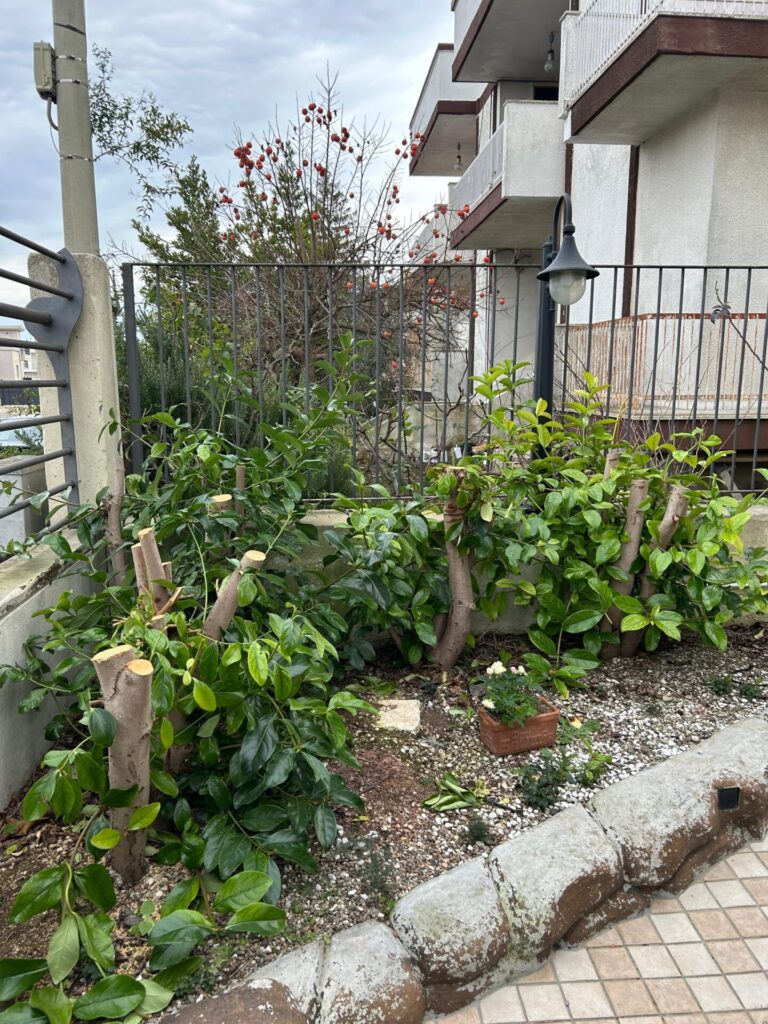 fab874ca 39d7 4182 8145 586cfd1cfc05