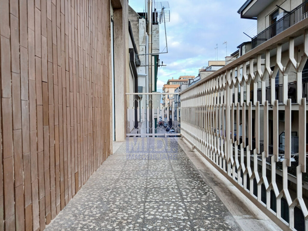 WhatsApp Image 2026 02 09 at 19.03.36 1.jpeg