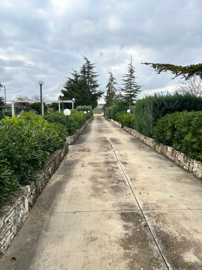 13587cd1 b651 4452 800d 021aa17ffc5b