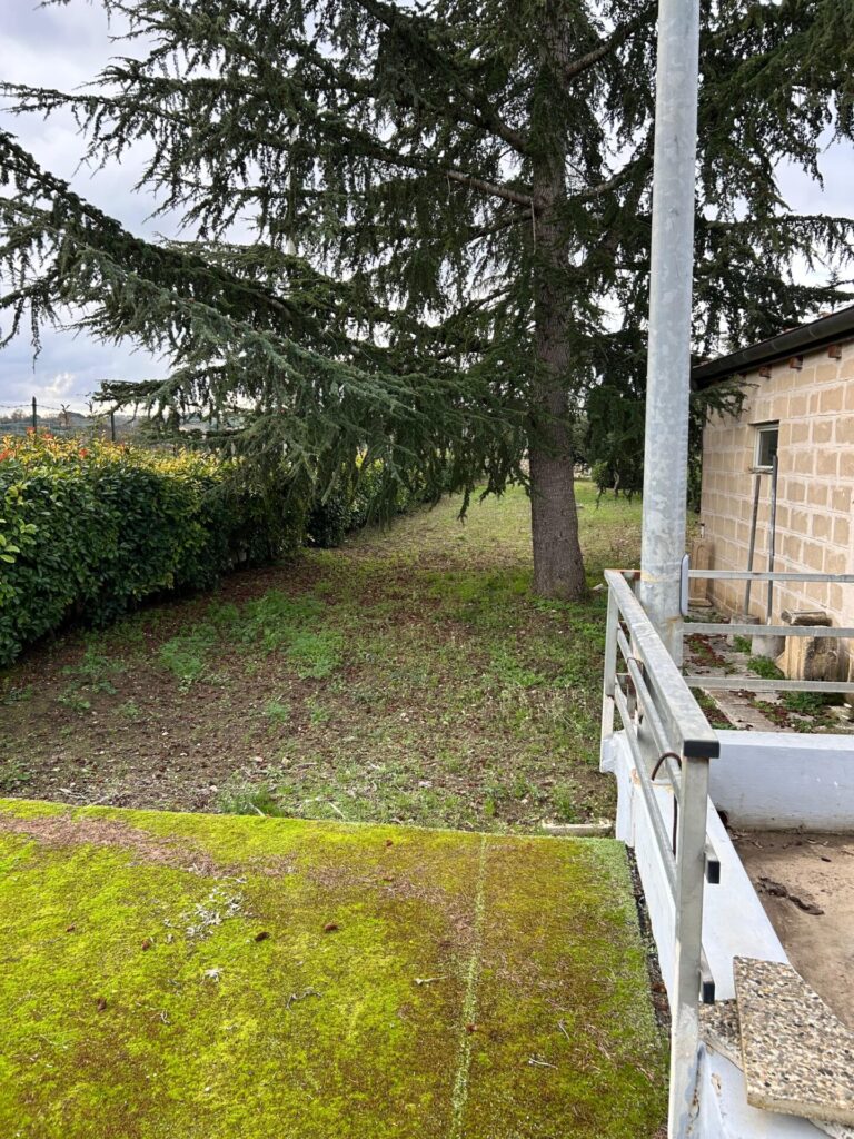 371084f2 3e64 48f7 a2f4 0d7efb21521b